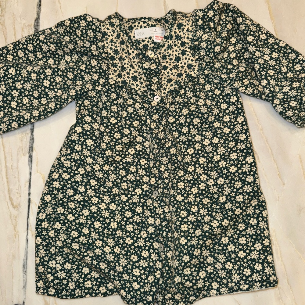 Zara Kids Floral Button Down Dress